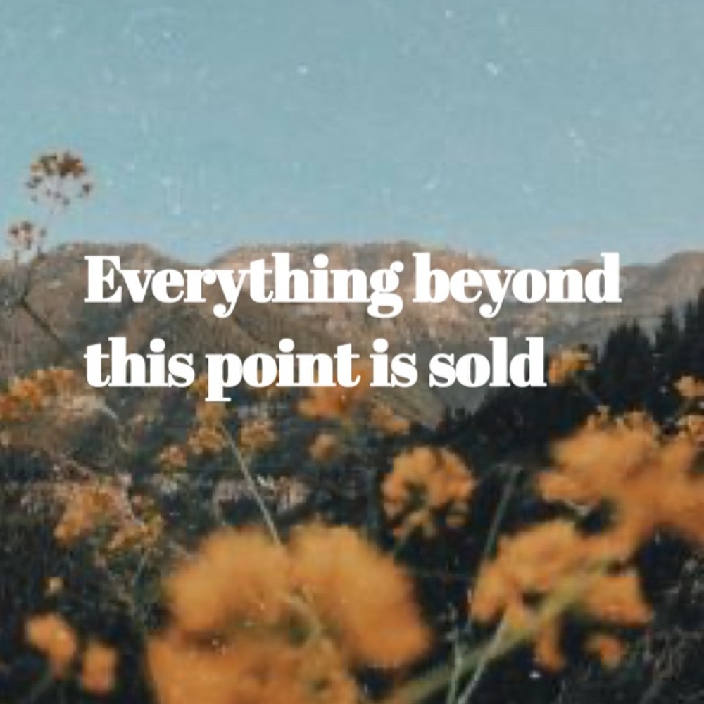 Everything Sold ⬇️